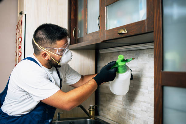Best Pest Prevention Services  in Mounds, OK
