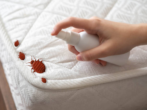 Best Pest Control Cost  in Mounds, OK
