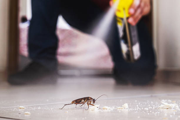 Best Pest Inspection Near Me  in Mounds, OK