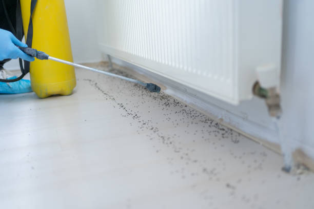 Best Best Pest Control Companies  in Mounds, OK